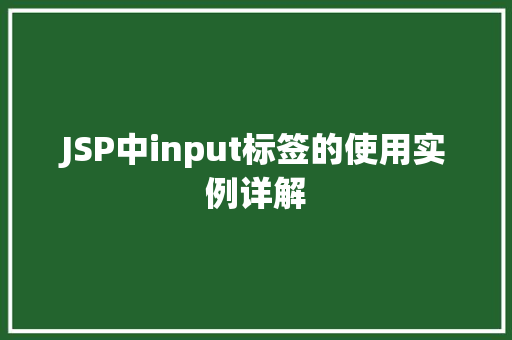 JSP中input标签的使用实例详解