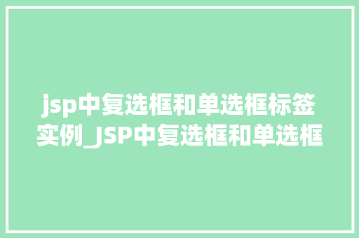 jsp中复选框和单选框标签实例_JSP中复选框和单选框标签实例详解实战方法与代码示例