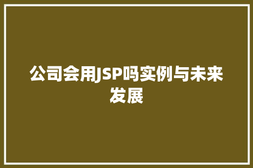 公司会用JSP吗实例与未来发展