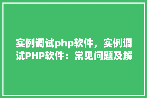 实例调试php软件，实例调试PHP软件：常见问题及解决方法详解
