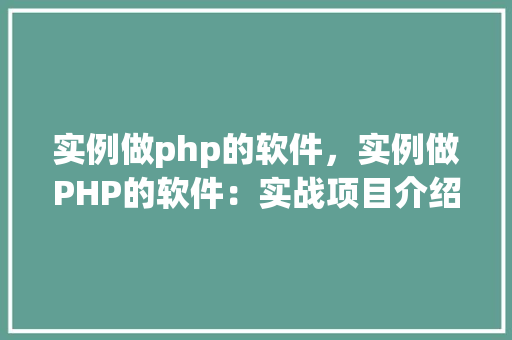实例做php的软件，实例做PHP的软件：实战项目介绍与代码示例