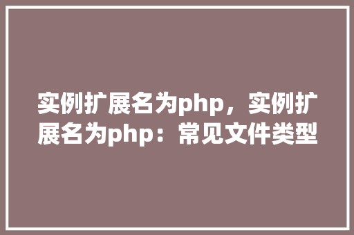 实例扩展名为php，实例扩展名为php：常见文件类型及应用场景分析