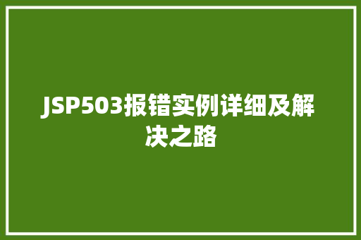 JSP503报错实例详细及解决之路